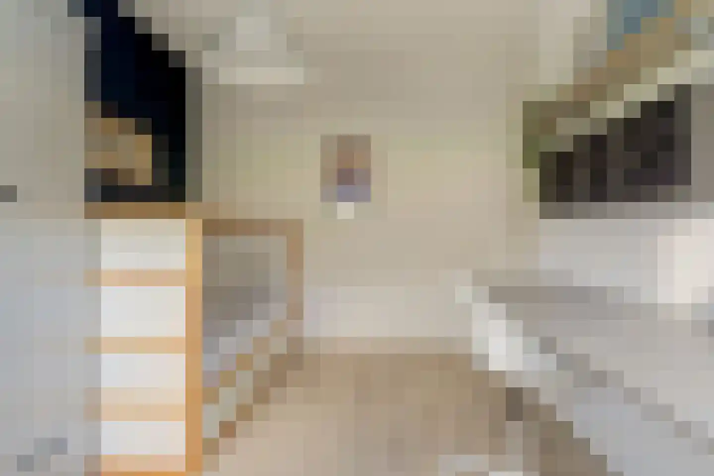 Gele Lis 23 Elst thumbnail 19