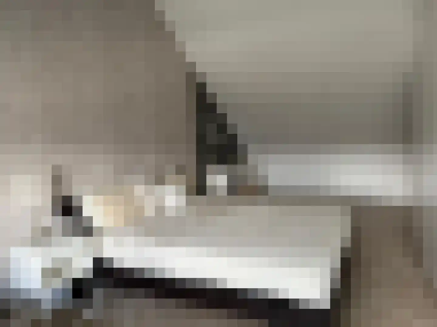 Gele Lis 23 Elst thumbnail 29