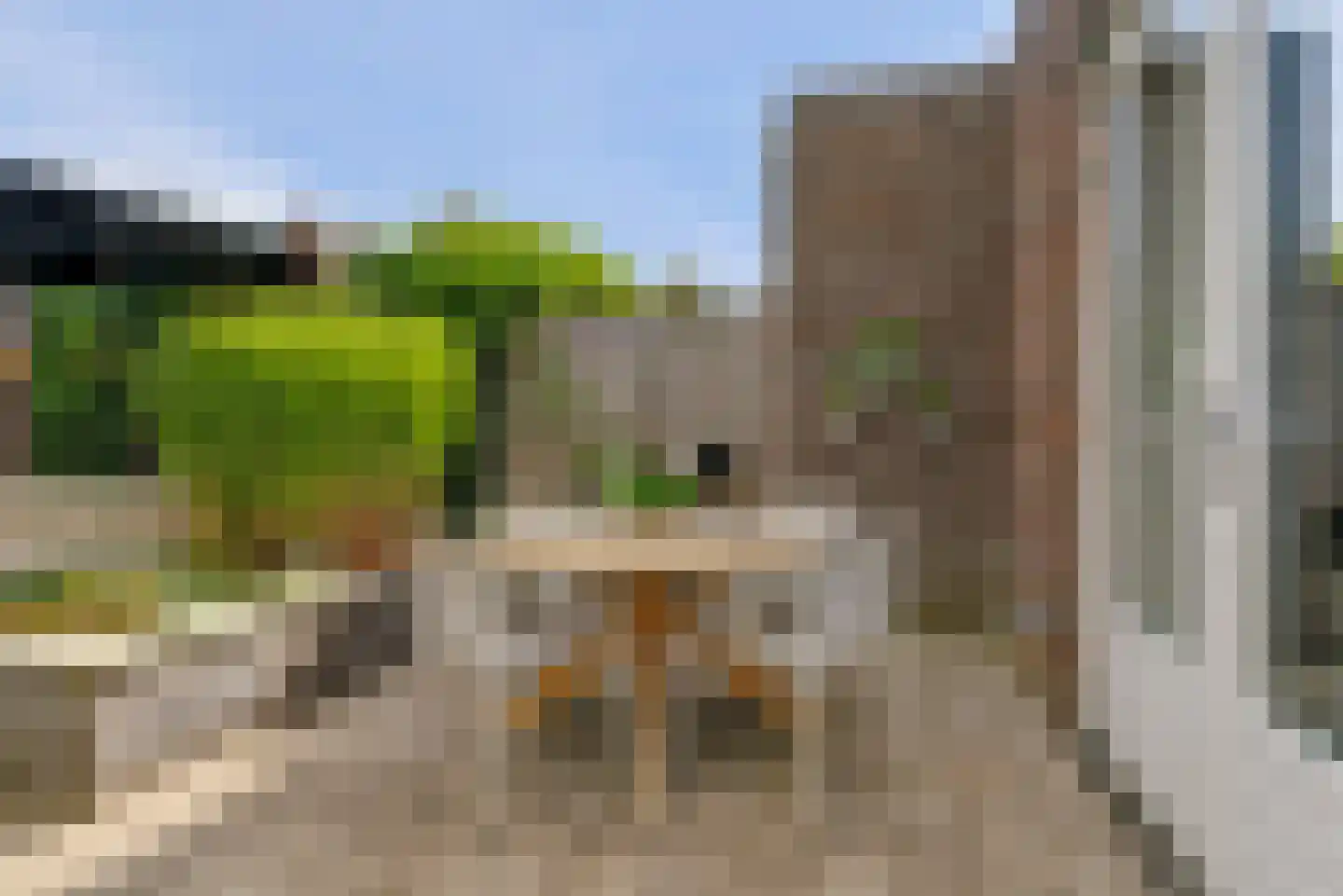 Gele Lis 23 Elst thumbnail 30