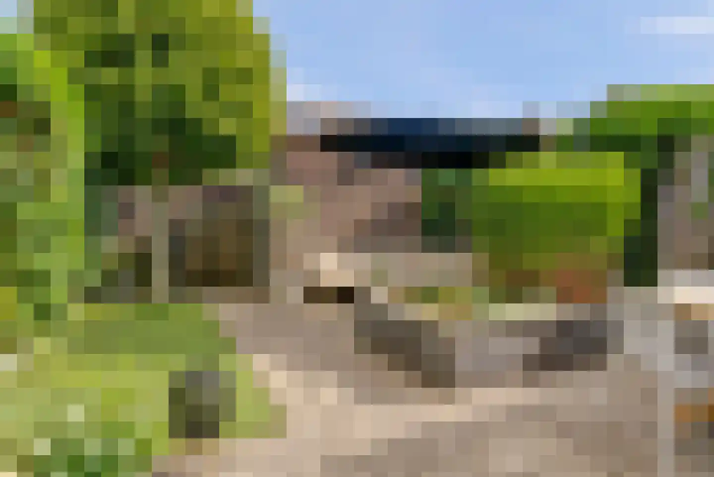 Gele Lis 23 Elst thumbnail 31