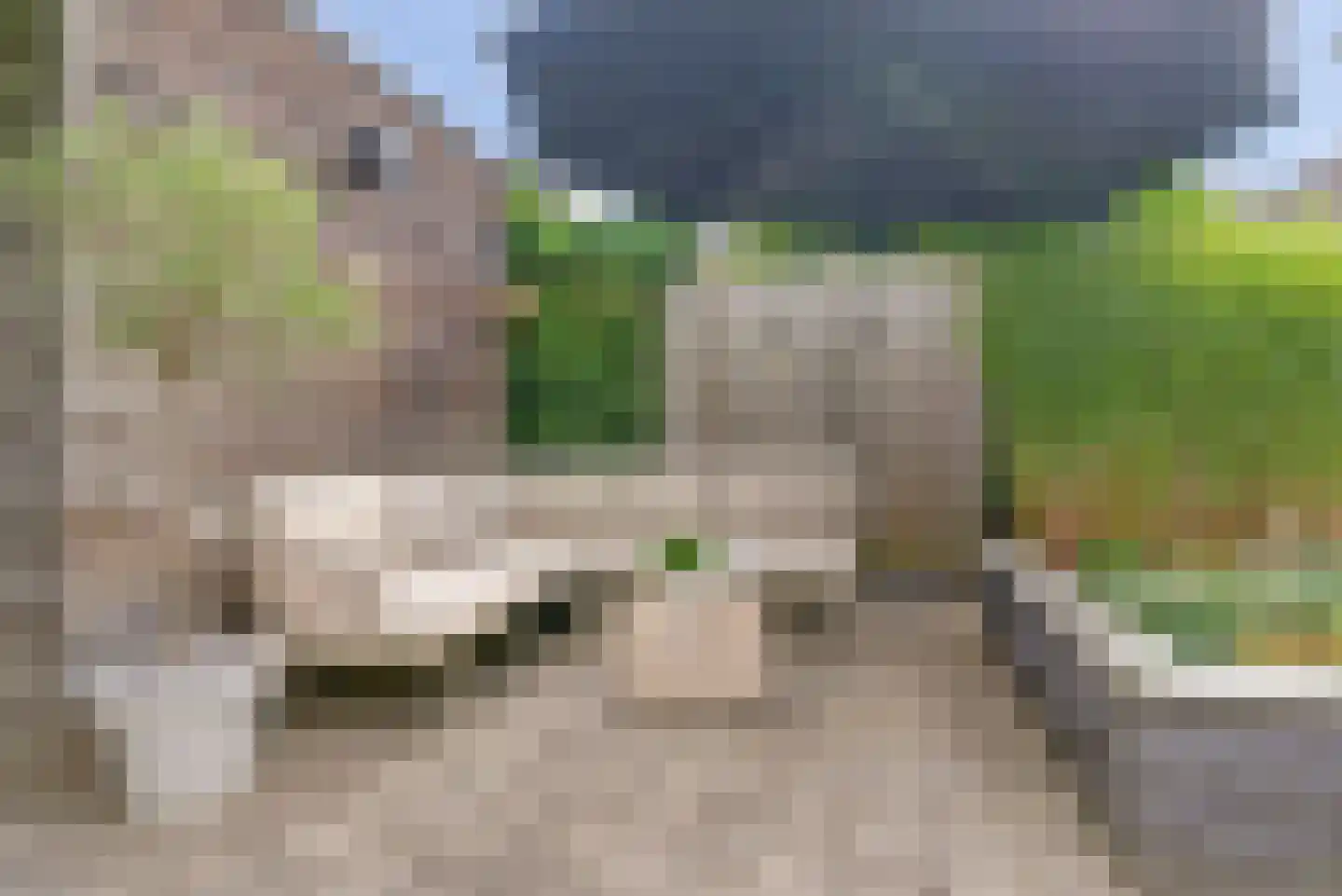 Gele Lis 23 Elst thumbnail 32