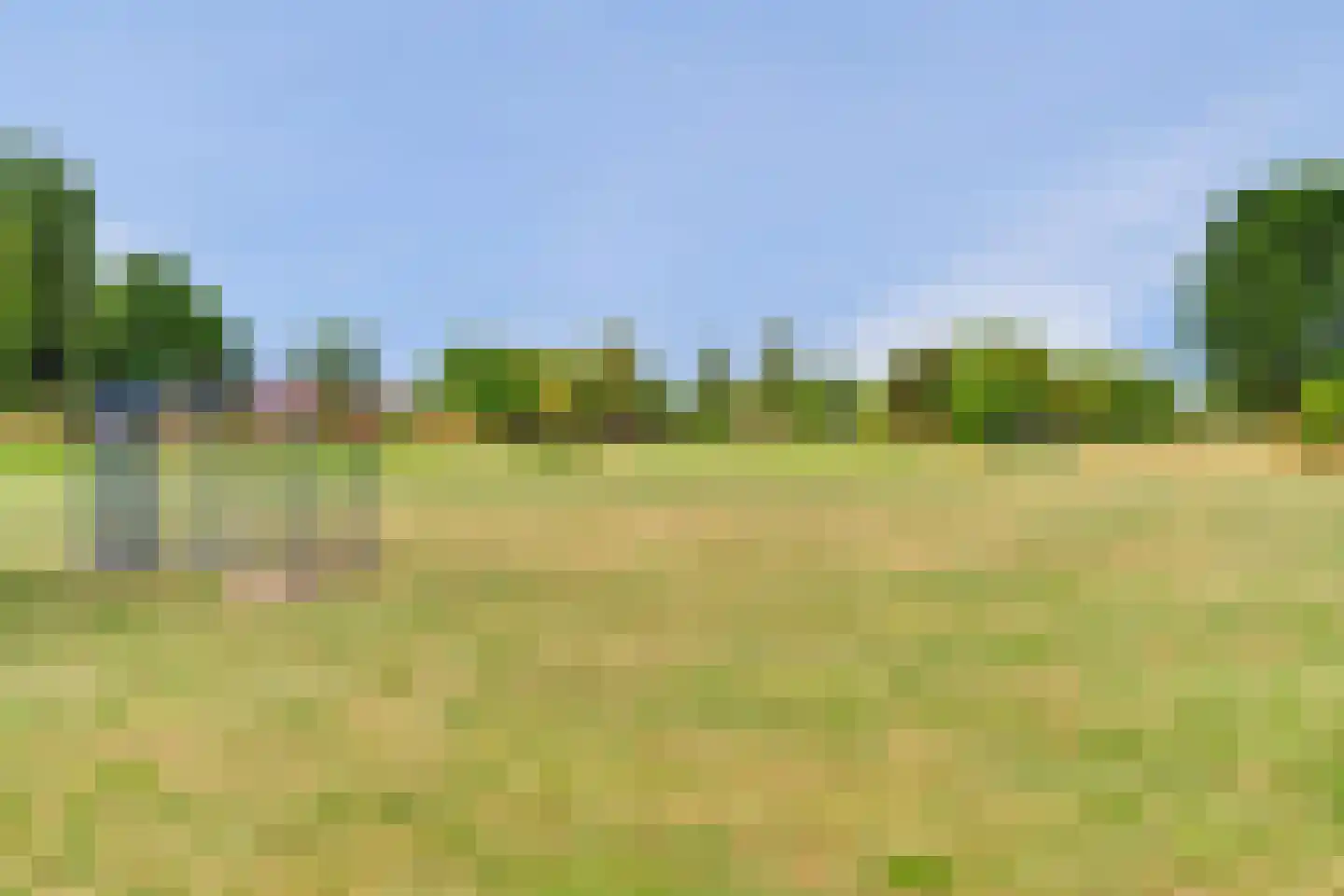 Gele Lis 23 Elst thumbnail 37