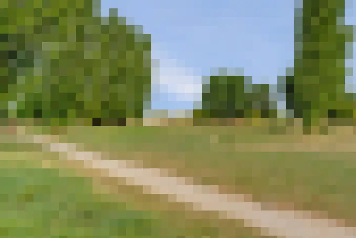 Gele Lis 23 Elst thumbnail 38