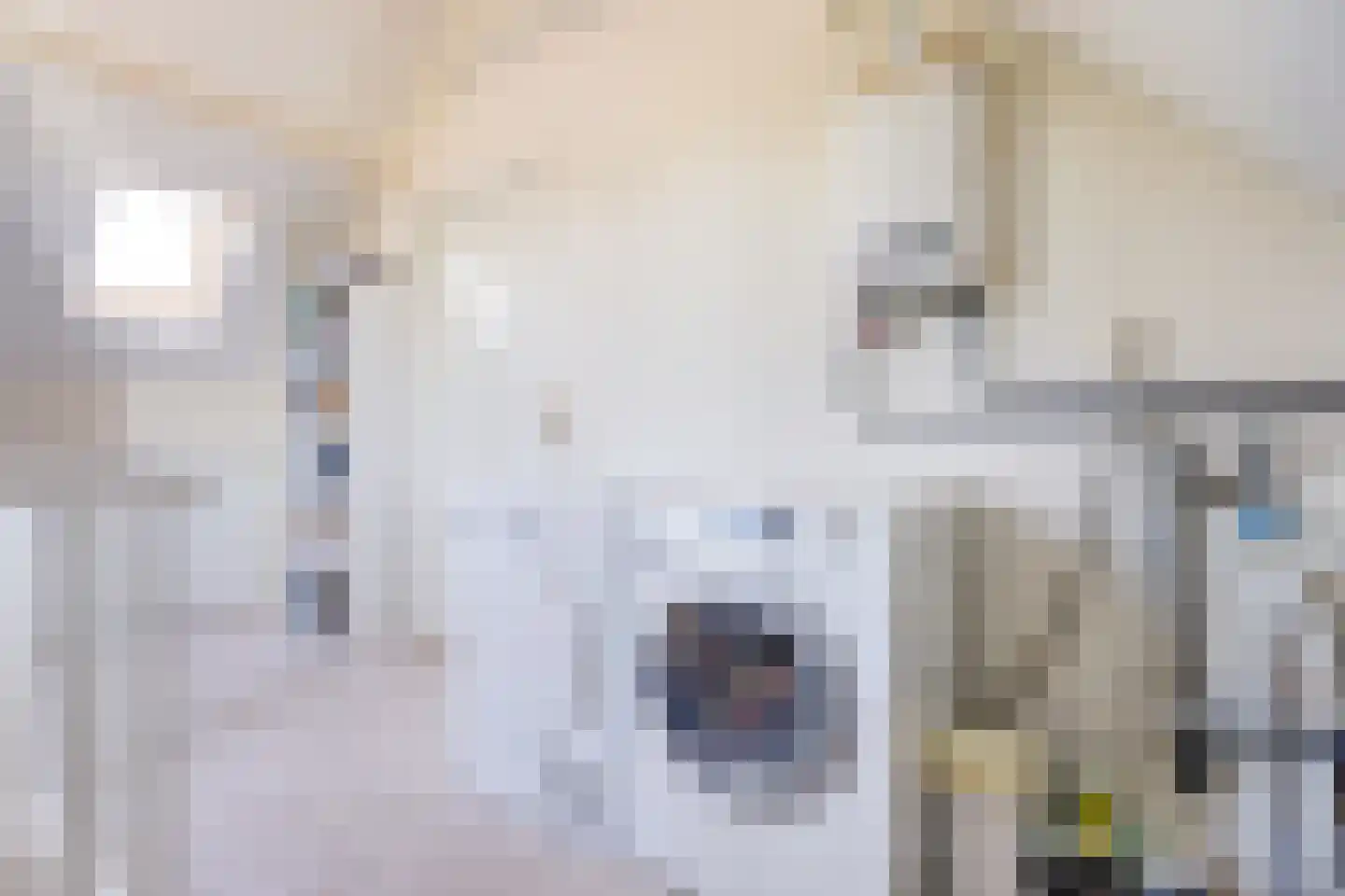 Gele Lis 24 Cuijk thumbnail 31