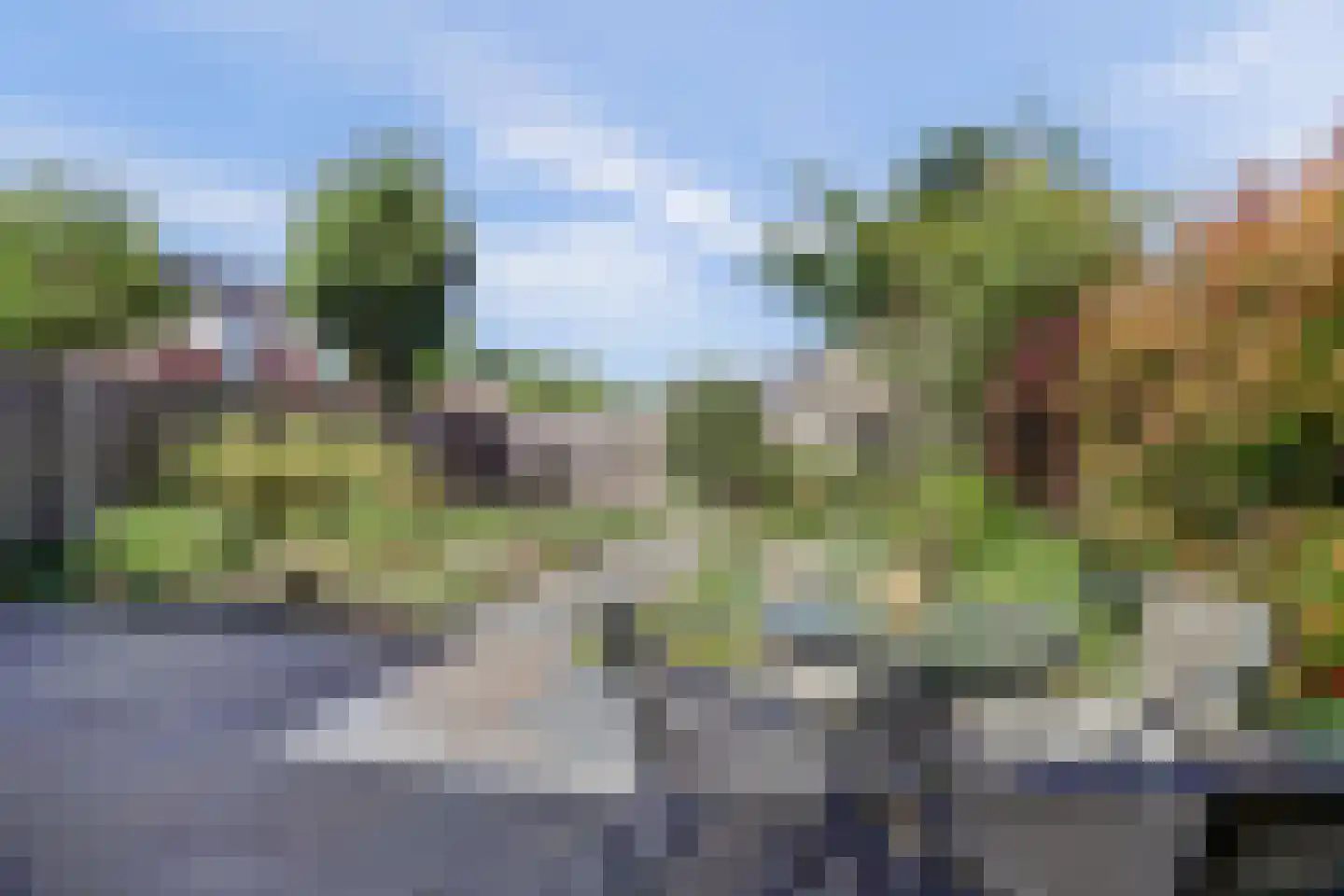 Gele Lis 24 Cuijk thumbnail 34