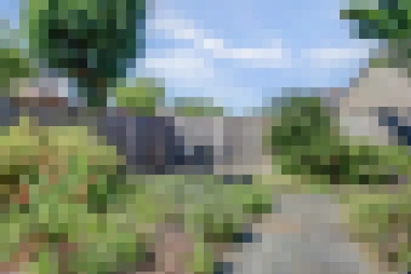 Gele Lis 24 Cuijk thumbnail 35