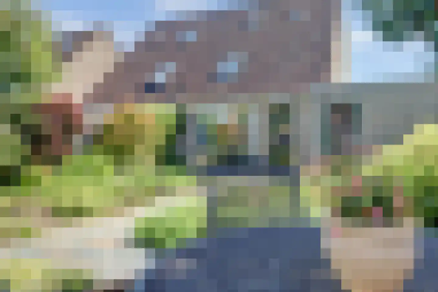 Gele Lis 24 Cuijk thumbnail 37