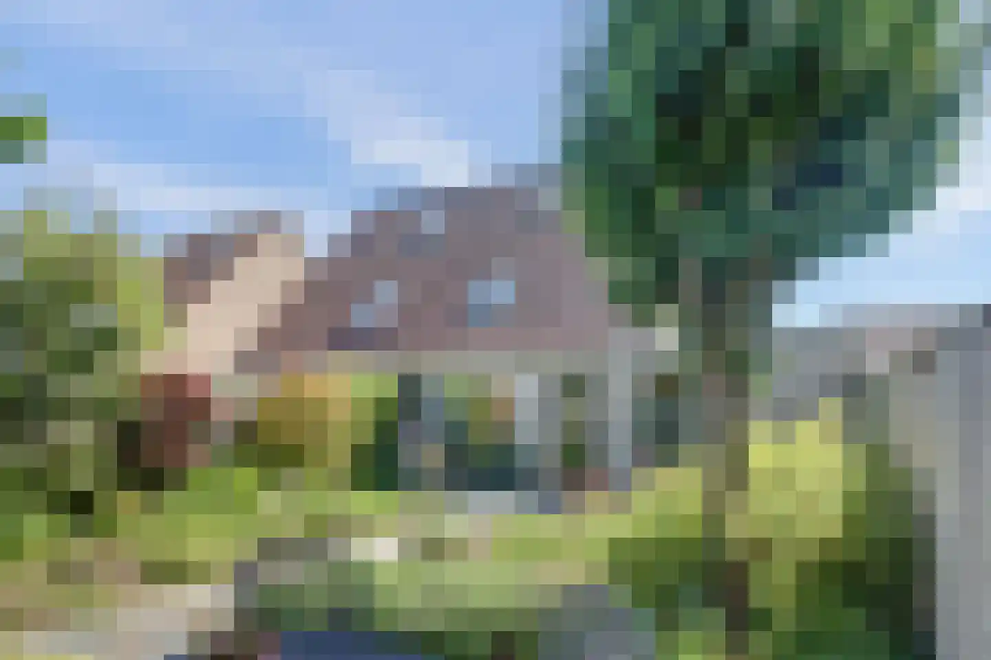 Gele Lis 24 Cuijk thumbnail 38