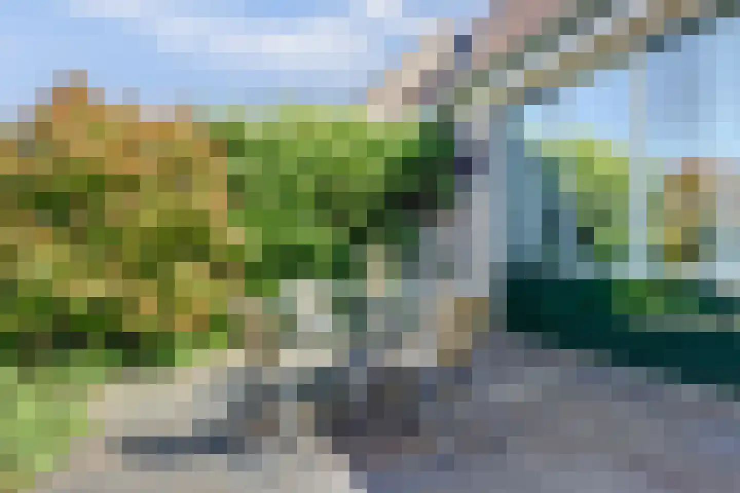 Gele Lis 24 Cuijk thumbnail 40