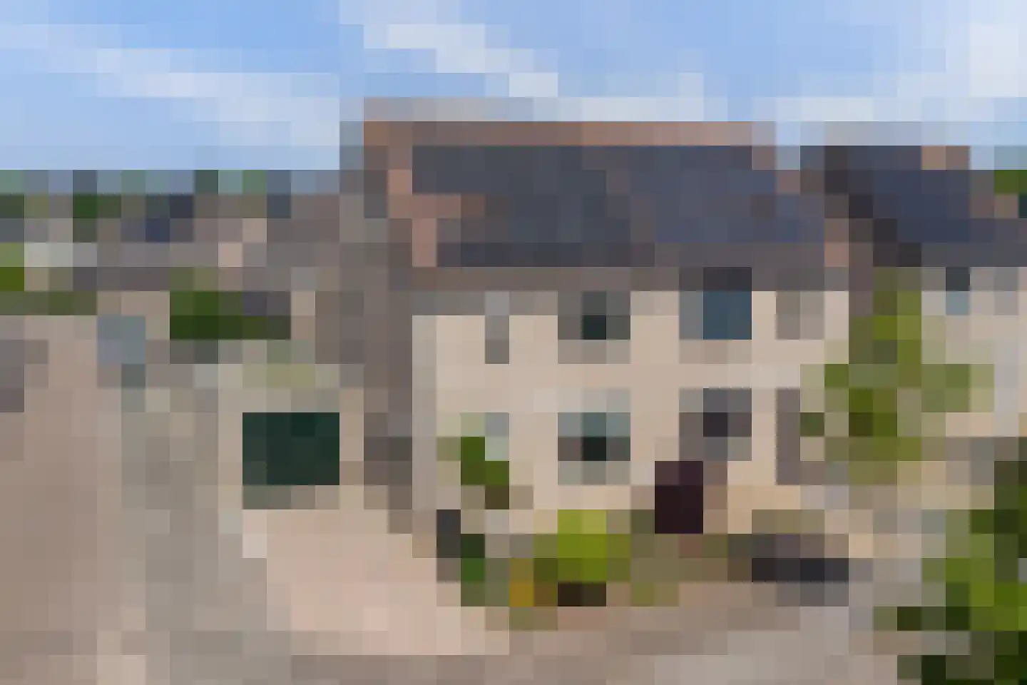 Gele Lis 24 Cuijk thumbnail 6