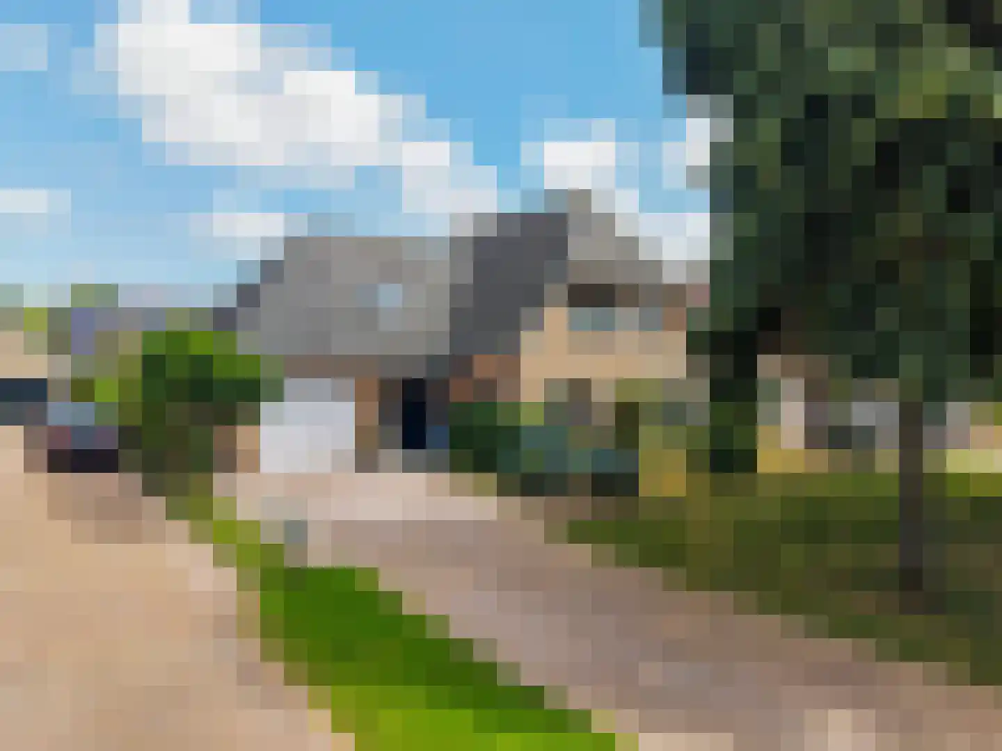 Gele Lis 3 in Buitenpost