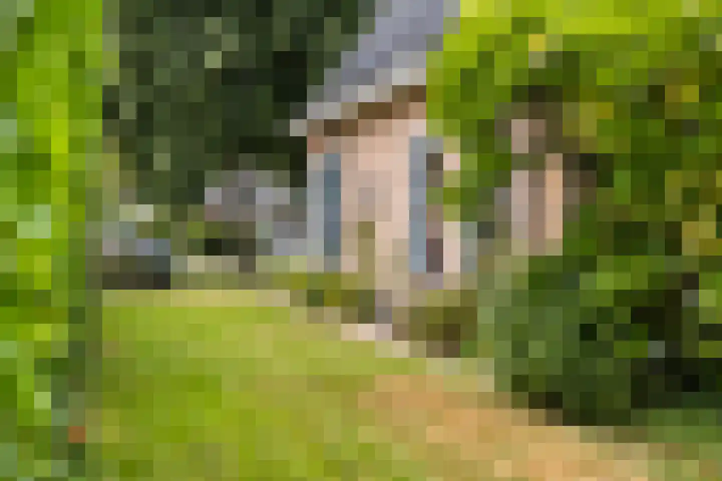 Gele Lis 3 Buitenpost thumbnail 23