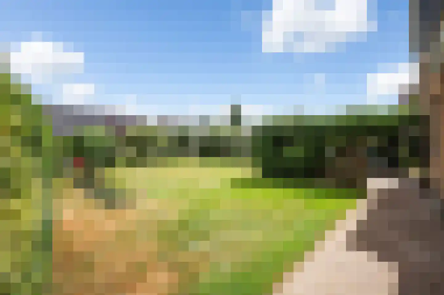 Gele Lis 3 Buitenpost thumbnail 24