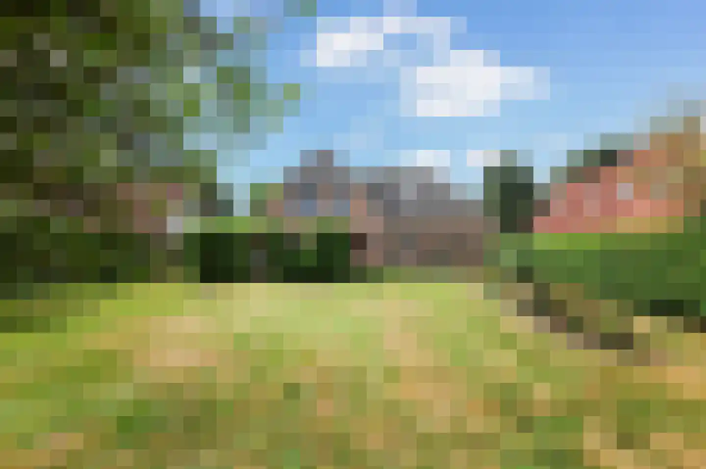 Gele Lis 3 Buitenpost thumbnail 25