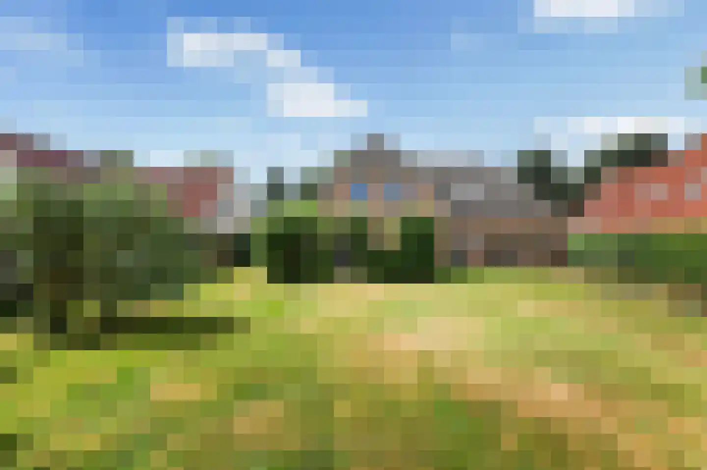Gele Lis 3 Buitenpost thumbnail 26