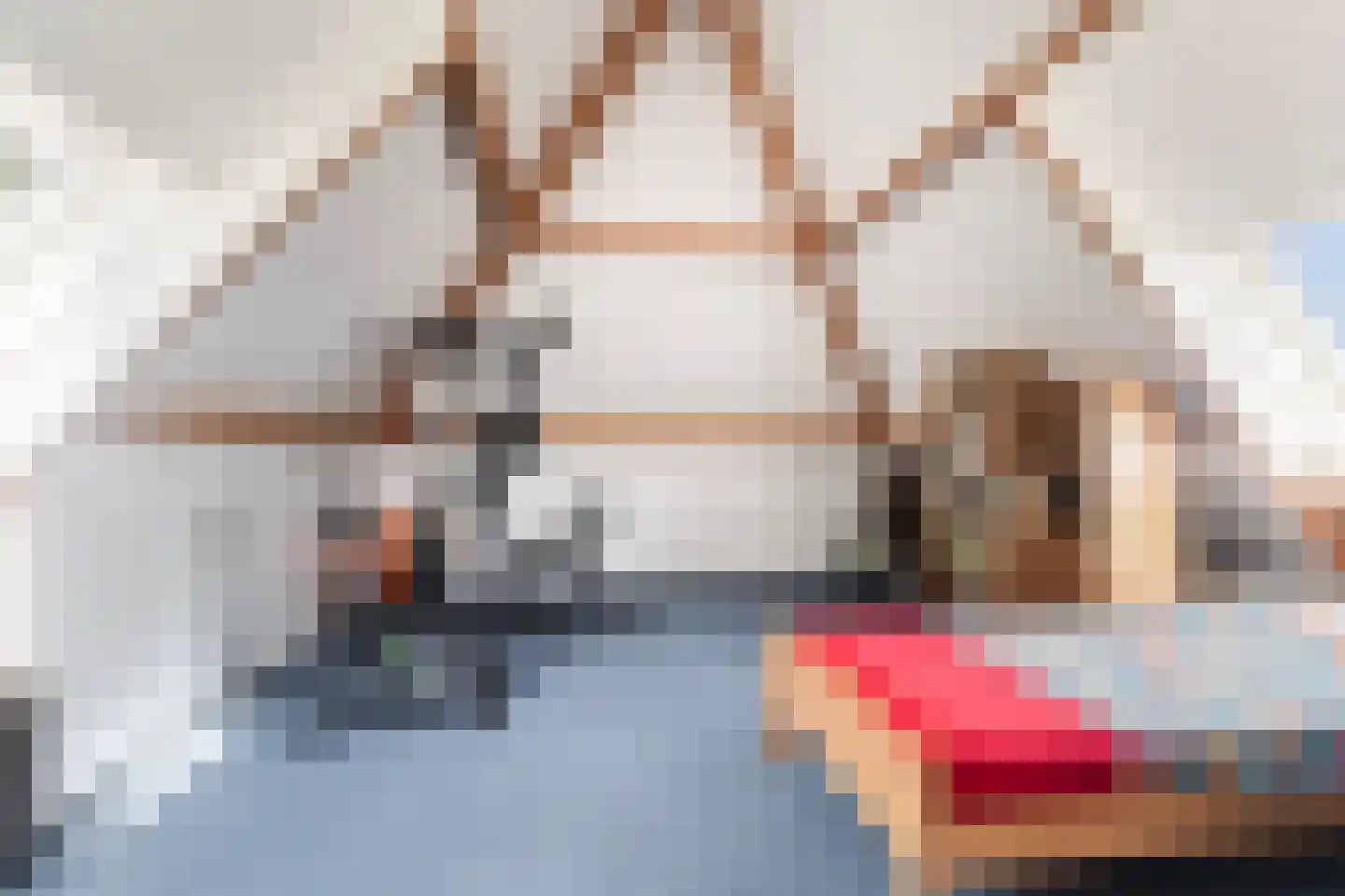 Gele Lis 3 Buitenpost thumbnail 34