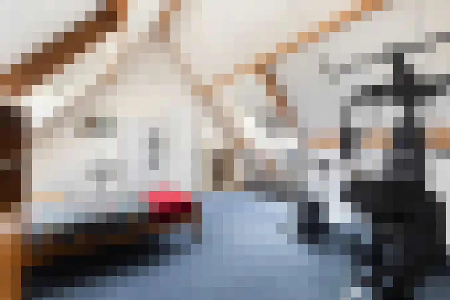 Gele Lis 3 Buitenpost thumbnail 35