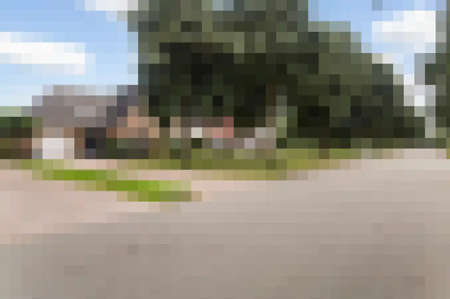 Gele Lis 3 Buitenpost thumbnail 4