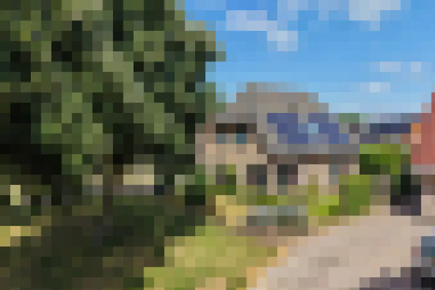 Gele Lis 3 Buitenpost thumbnail 43