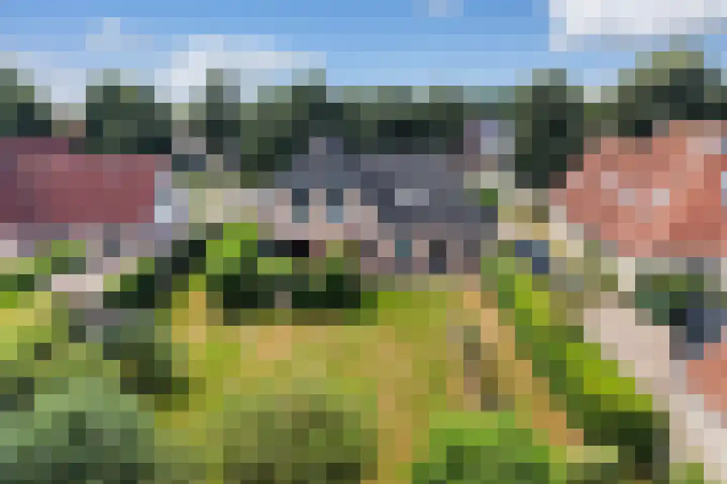 Gele Lis 3 Buitenpost thumbnail 44