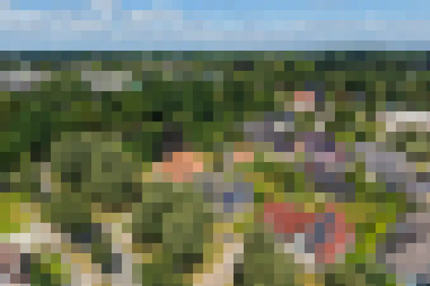 Gele Lis 3 Buitenpost thumbnail 46