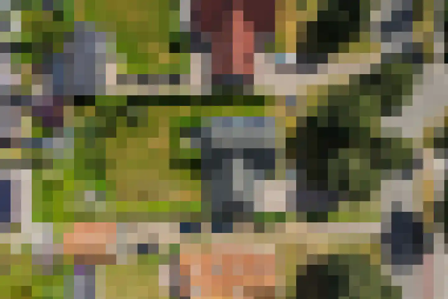 Gele Lis 3 Buitenpost thumbnail 47