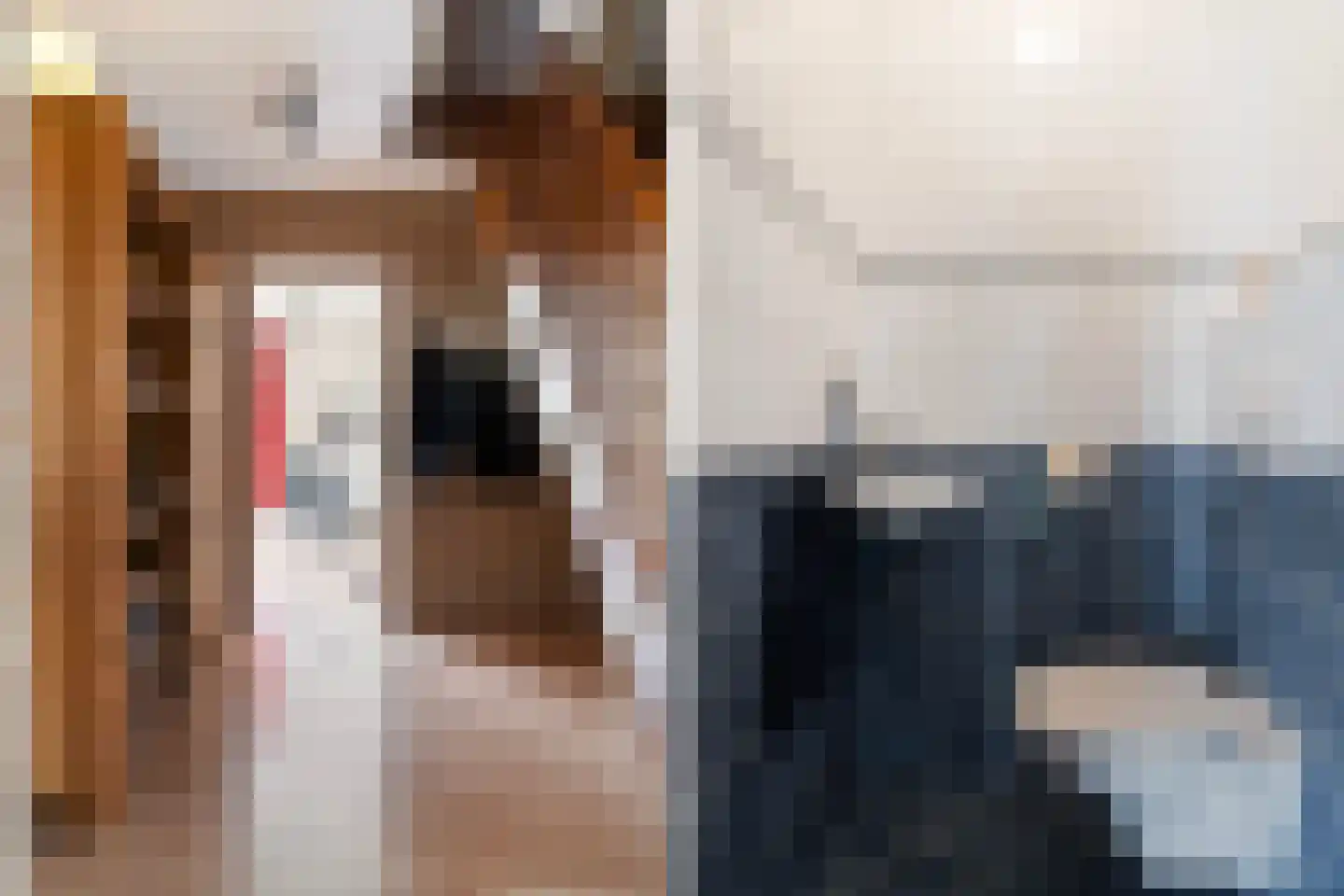 Gele Lis 3 Buitenpost thumbnail 8