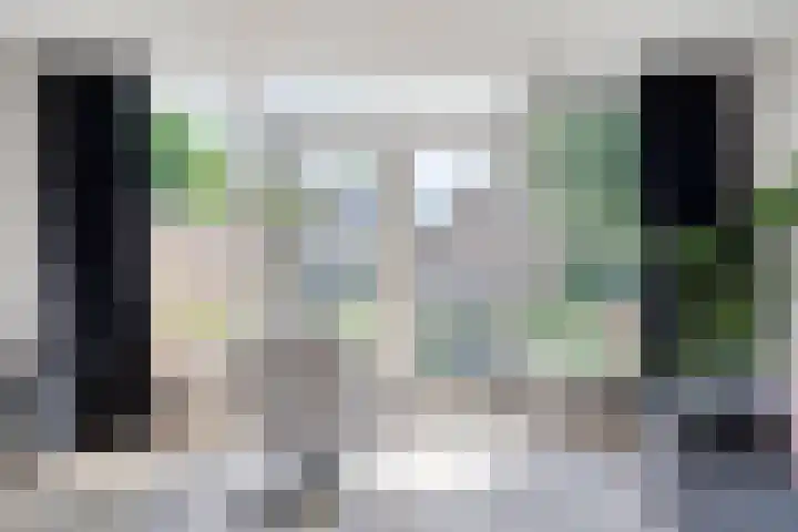 Gele Lis 33 Hardenberg thumbnail 16