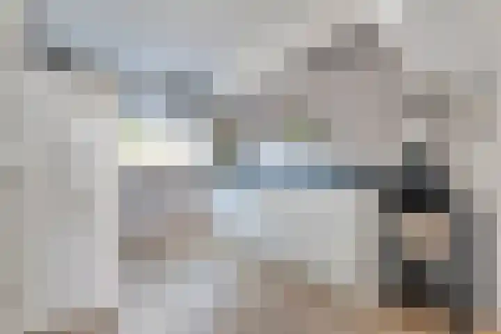 Gele Lis 33 Hardenberg thumbnail 17