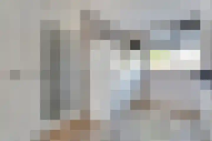 Gele Lis 33 Hardenberg thumbnail 20