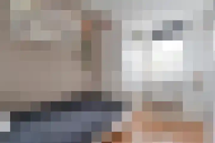 Gele Lis 33 Hardenberg thumbnail 28