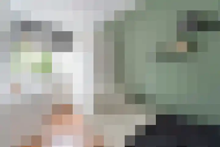 Gele Lis 33 Hardenberg thumbnail 30