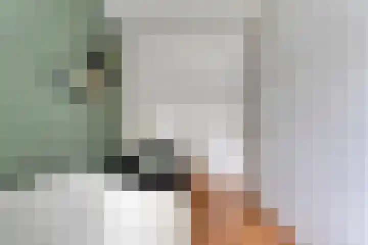 Gele Lis 33 Hardenberg thumbnail 31