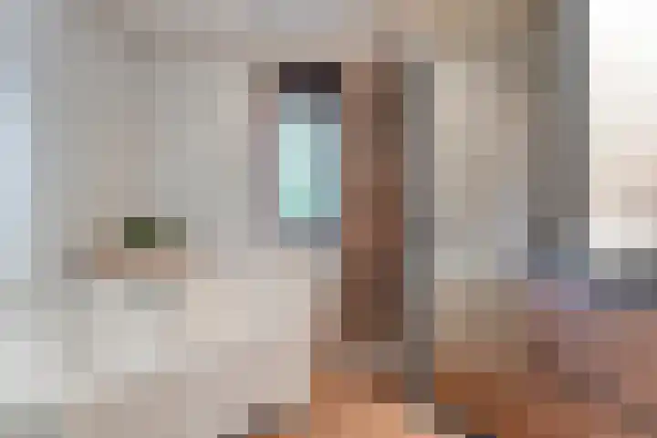 Gele Lis 33 Hardenberg thumbnail 32