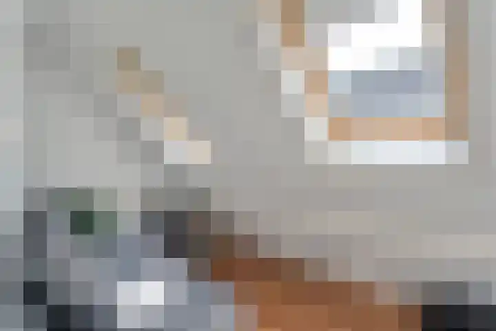 Gele Lis 33 Hardenberg thumbnail 34