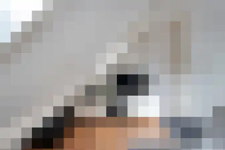 Gele Lis 33 Hardenberg thumbnail 35