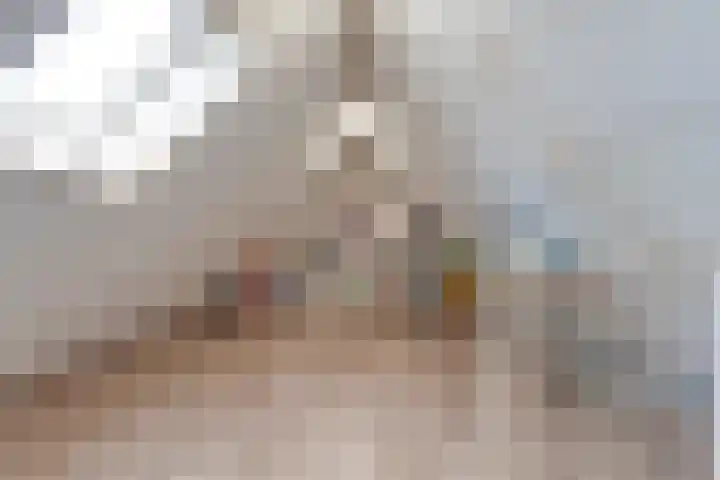 Gele Lis 33 Hardenberg thumbnail 36