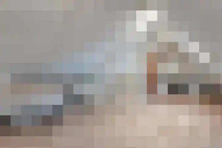 Gele Lis 33 Hardenberg thumbnail 37