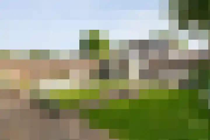 Gele Lis 33 Hardenberg thumbnail 39