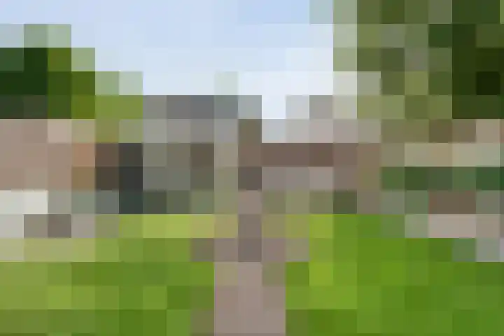 Gele Lis 33 Hardenberg thumbnail 41