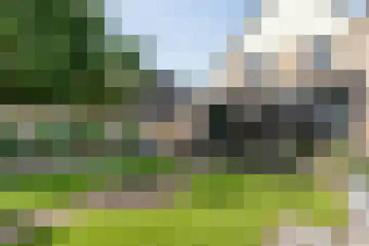 Gele Lis 33 Hardenberg thumbnail 42