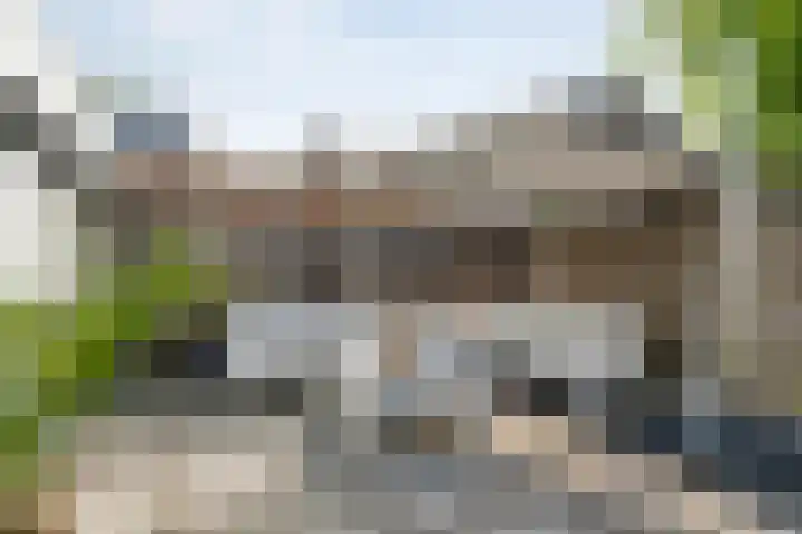 Gele Lis 33 Hardenberg thumbnail 45