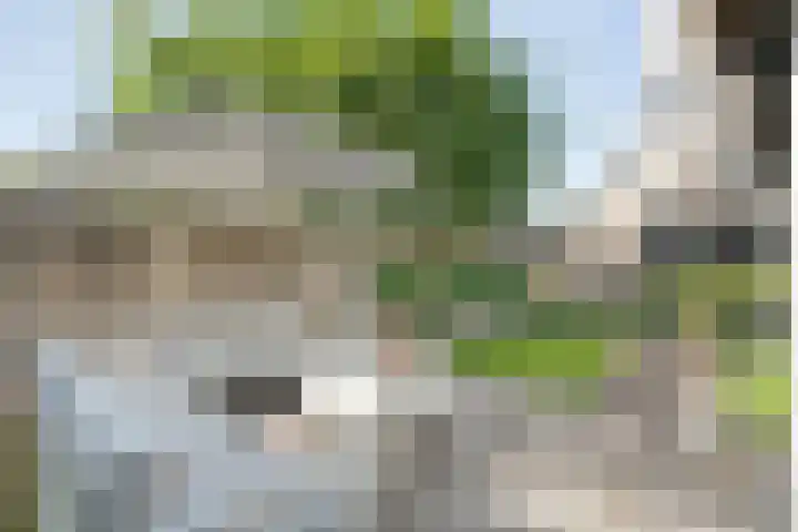 Gele Lis 33 Hardenberg thumbnail 46