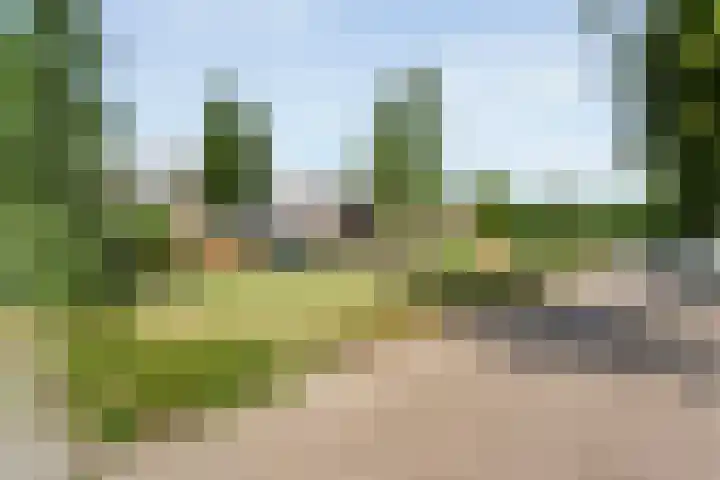 Gele Lis 33 Hardenberg thumbnail 51