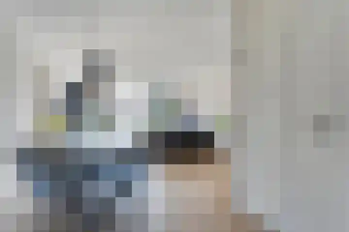 Gele Lis 33 Hardenberg thumbnail 9