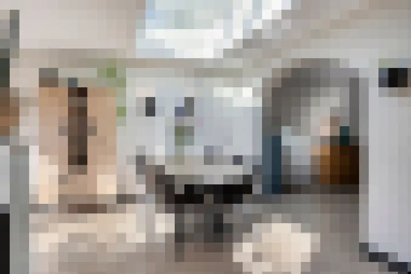 Gele lis 5 Deventer thumbnail 10