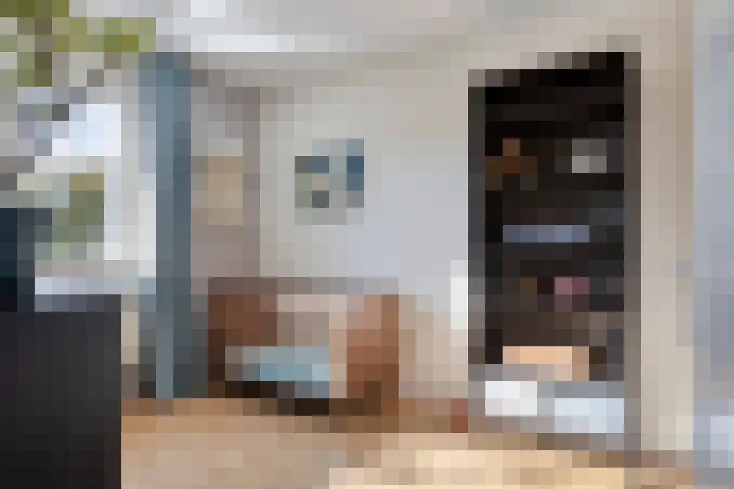 Gele lis 5 Deventer thumbnail 20