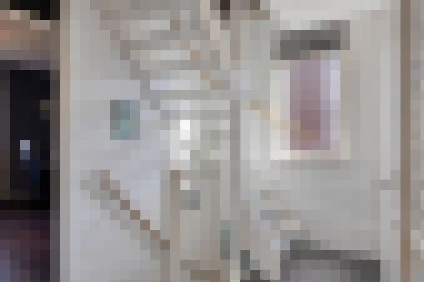 Gele lis 5 Deventer thumbnail 24