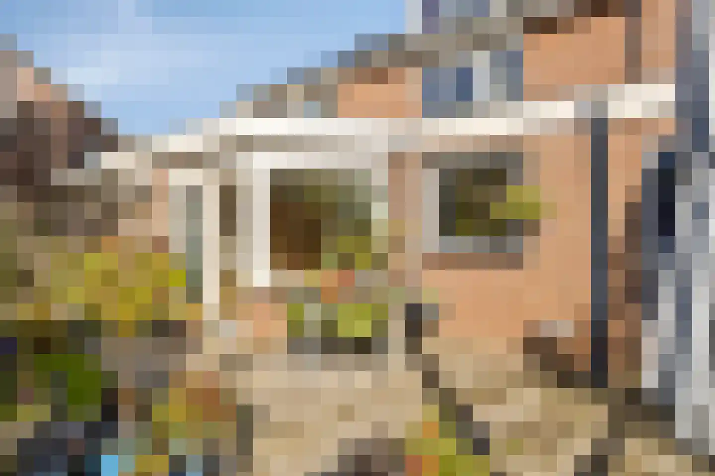 Gele lis 5 Deventer thumbnail 30