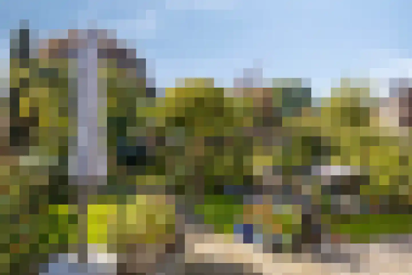 Gele lis 5 Deventer thumbnail 31